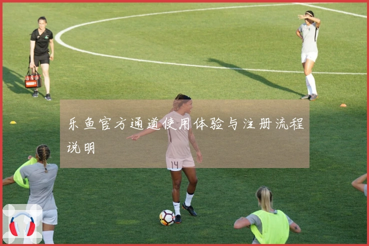 乐鱼官方通道使用体验与注册流程说明