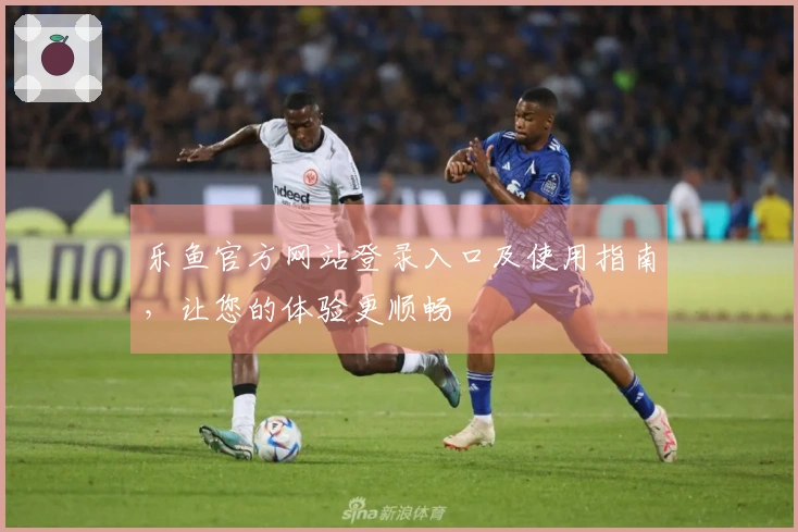 乐鱼官方网站登录入口及使用指南，让您的体验更顺畅