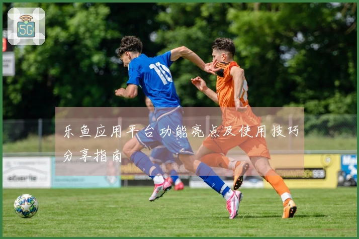 乐鱼应用平台功能亮点及使用技巧分享指南