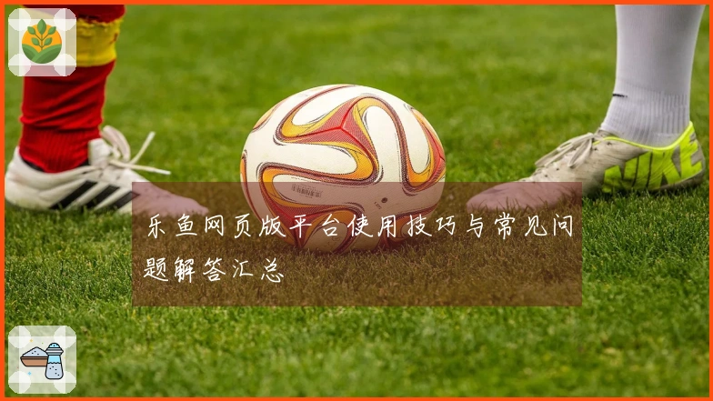 乐鱼网页版平台使用技巧与常见问题解答汇总