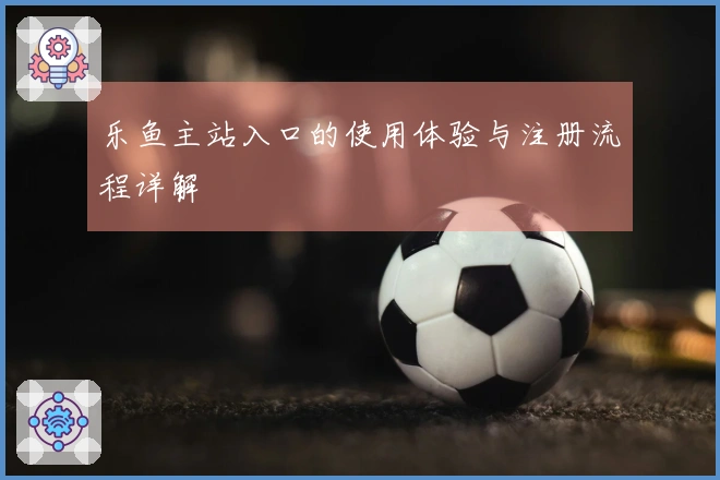 乐鱼主站入口的使用体验与注册流程详解