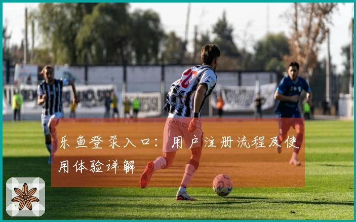 乐鱼登录入口：用户注册流程及使用体验详解