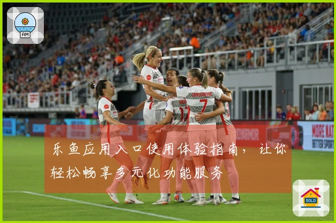 乐鱼应用入口使用体验指南，让你轻松畅享多元化功能服务